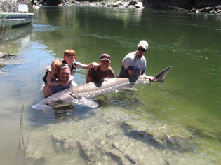 Sturgeon Fishing 2015