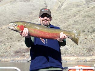 Nice Steelhead